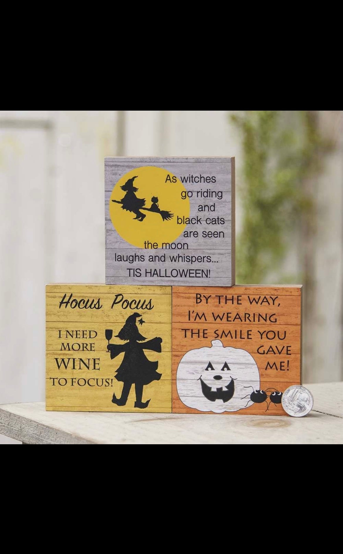 Hocus Pocus Halloween Wood Blocks (3 Assorted)