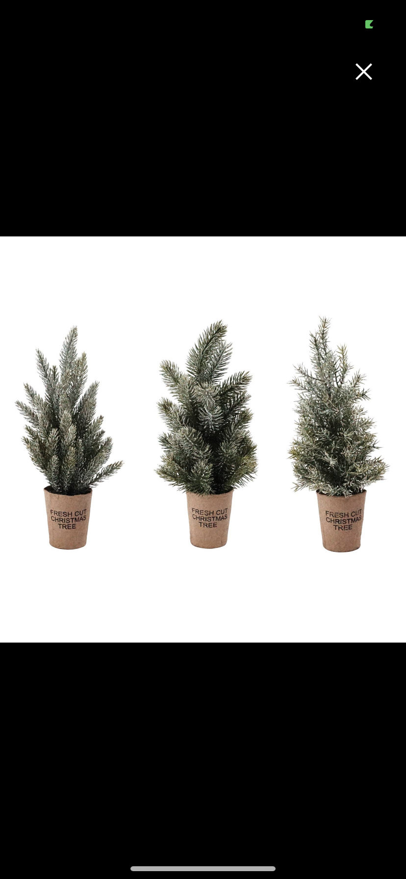 Frosted Tree w/ Paper Cup - 3 Assorted