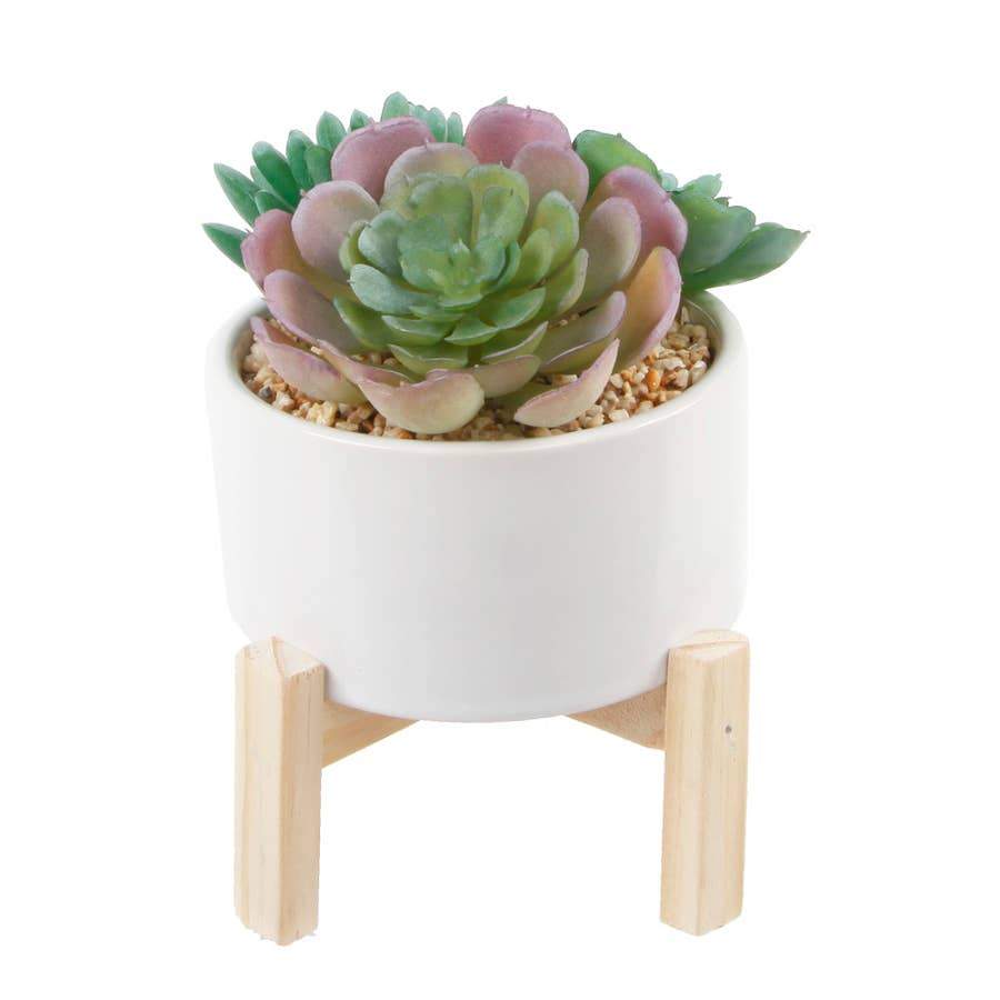 succulent babes Faux Succulent Mix in White Planter on Wooden Stand – Busy Babe Boutique