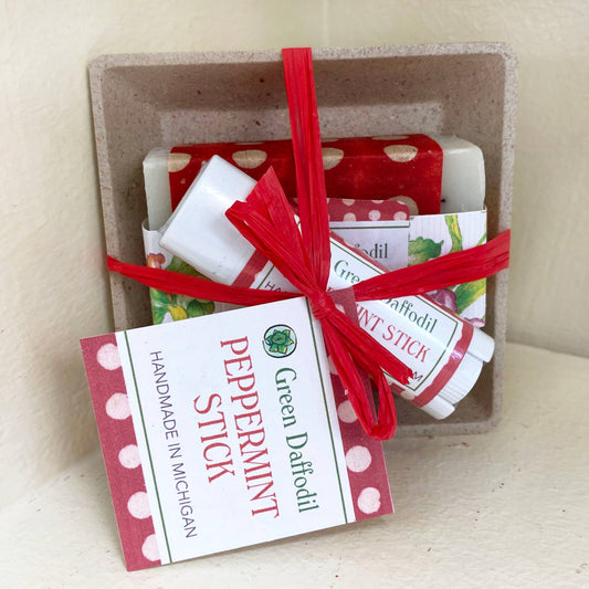 Peppermint Stick Soap & Lip Balm Dish Kit - Gift Set