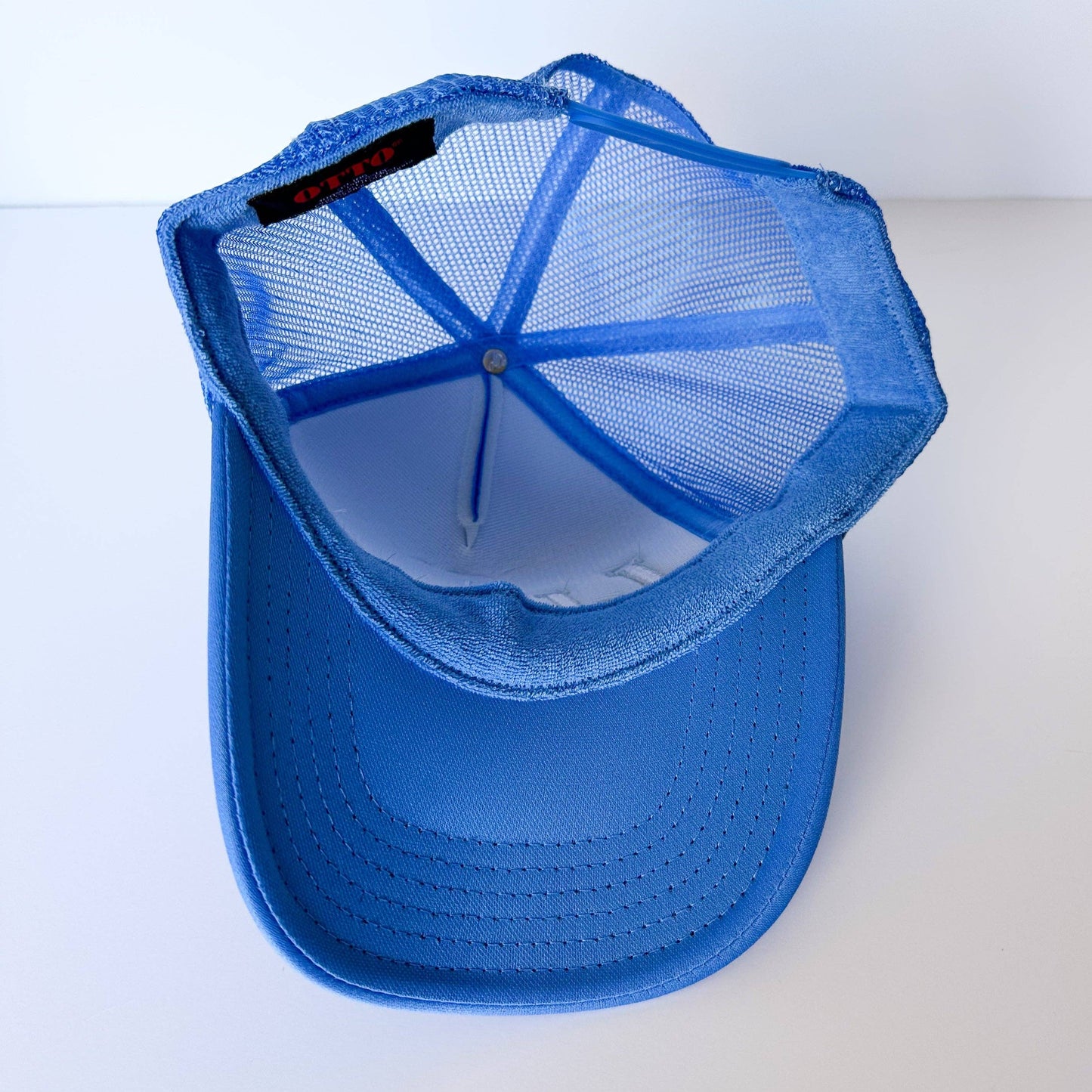 Lions Trucker Hat: Blue