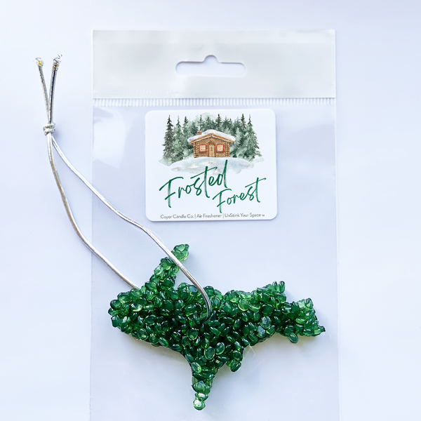 Michigan Shaped Air Freshener - *NEW* Winter Scents: Frozen Lake / Full State MI