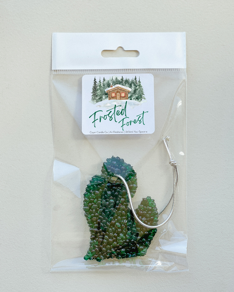 Michigan Shaped Air Freshener - *NEW* Winter Scents: Frozen Lake / Full State MI