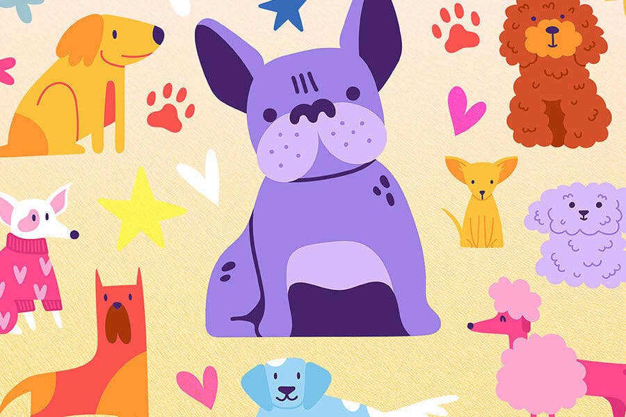 Puzzle Packs - The Dog Pack Valentine's Day