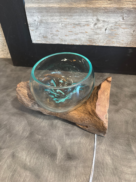 Driftwood with Bowl