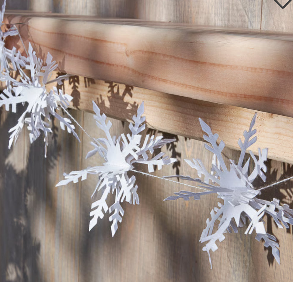 Paper Snowflake Set