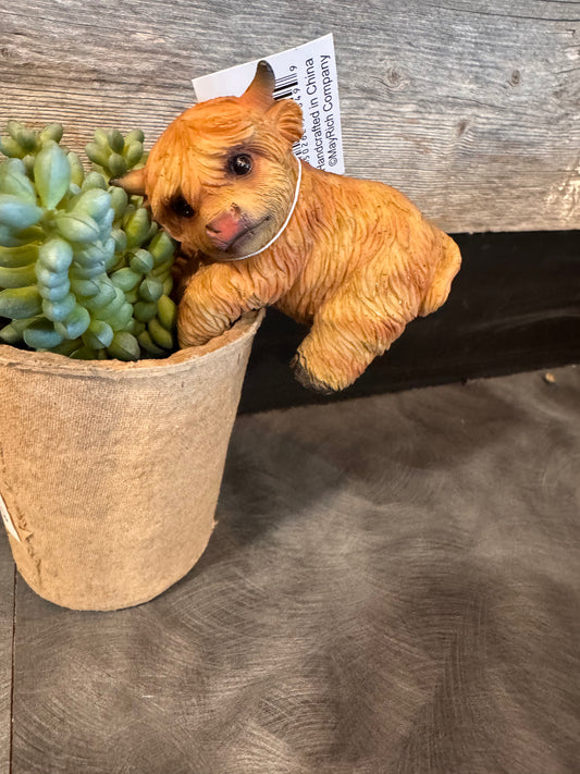 Highland Cow Pot Hanger