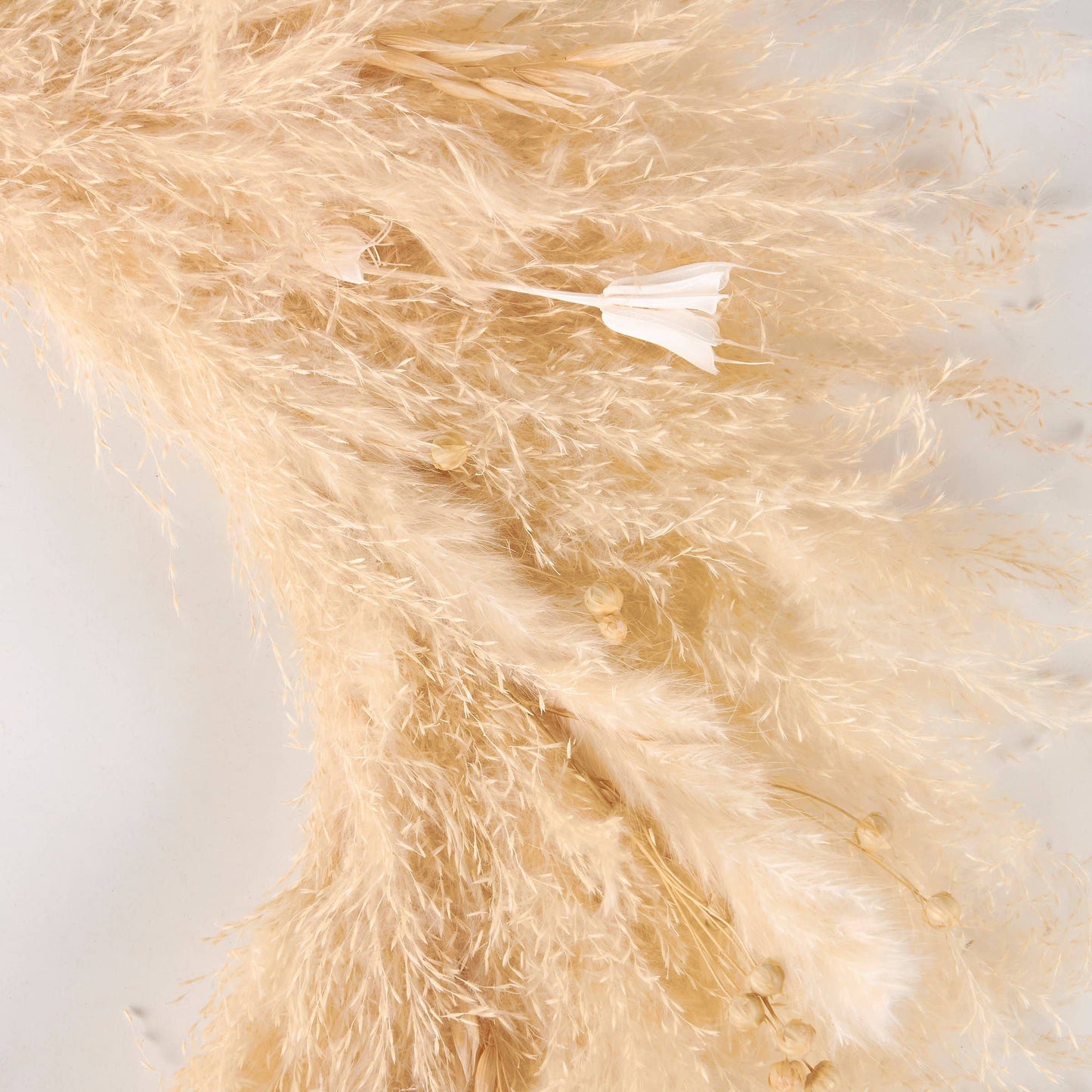 Pampas Grass Wreath