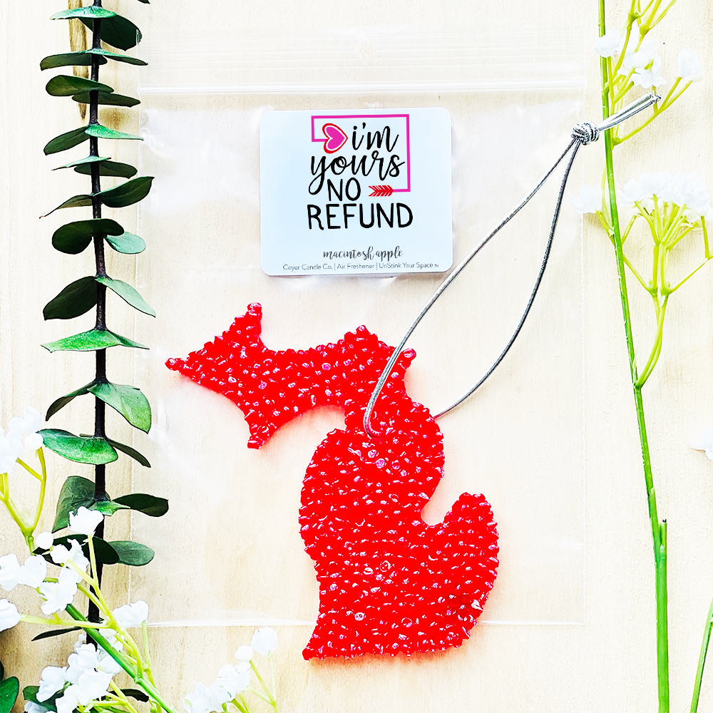 Air Fresheners - Valentine's Day Collection: Love you to the moon & back / Love Potion / Full State of Michigan
