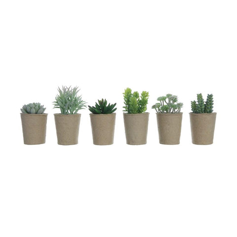 Faux Succulents in Cardboard Pots - Assorted