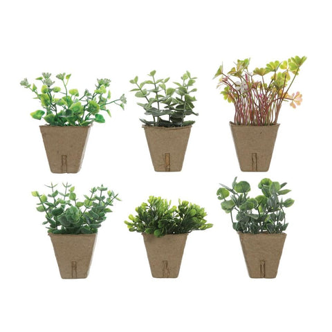 Faux Mini Plants in Cardboard Crate- Assorted