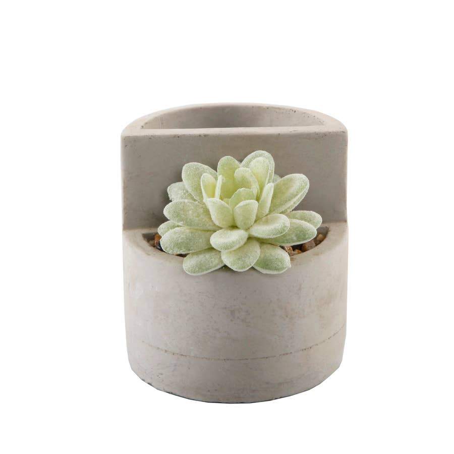 Cement Pencil Holder with Succulent