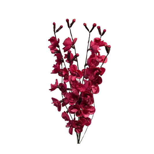 Wine Bunch 7 Shola Orchid Branch