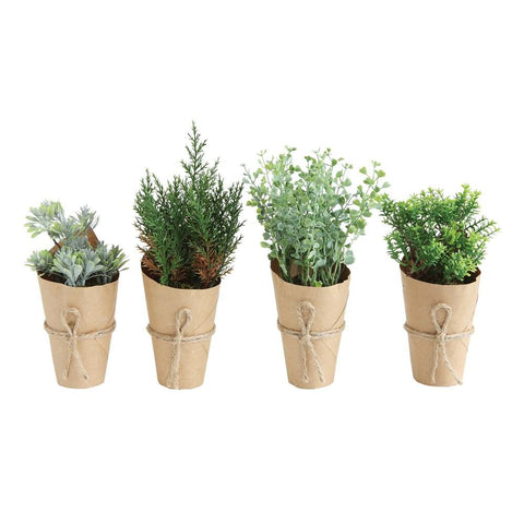 Faux Plants in Paper - Assorted