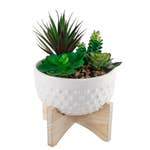 Faux Succulents in Hobnail Planter on Wooden Stand