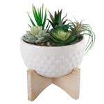 Faux Succulents in Hobnail Planter on Wooden Stand