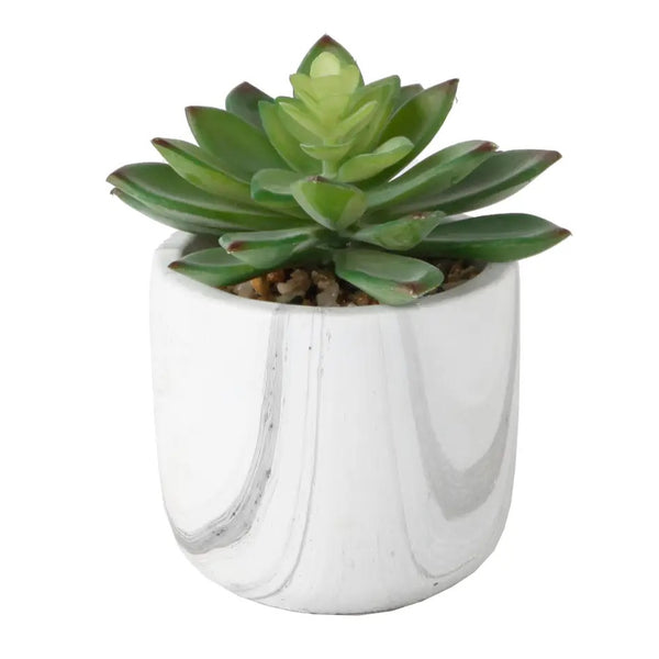 Marble 2.75” faux succulent-green