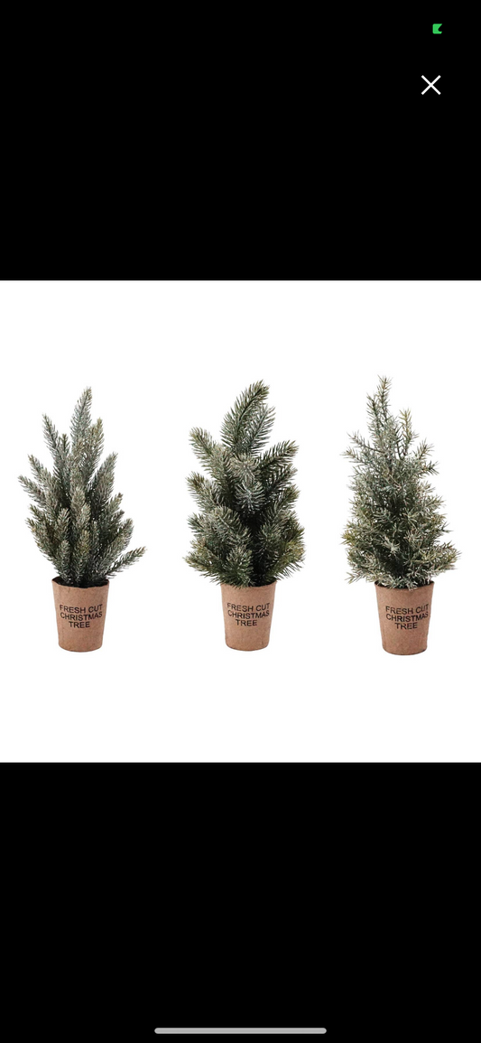 Frosted Tree w/ Paper Cup - 3 Assorted