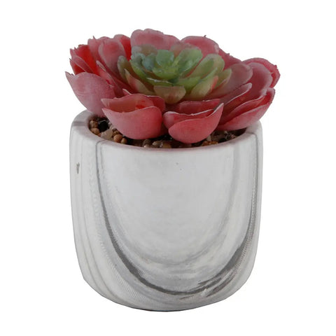 Marble 2.75” faux succulent-red