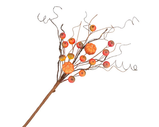 Pumpkin Berry Pick 24”