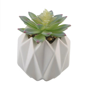 4" GEO CERAMIC SUCCULENT