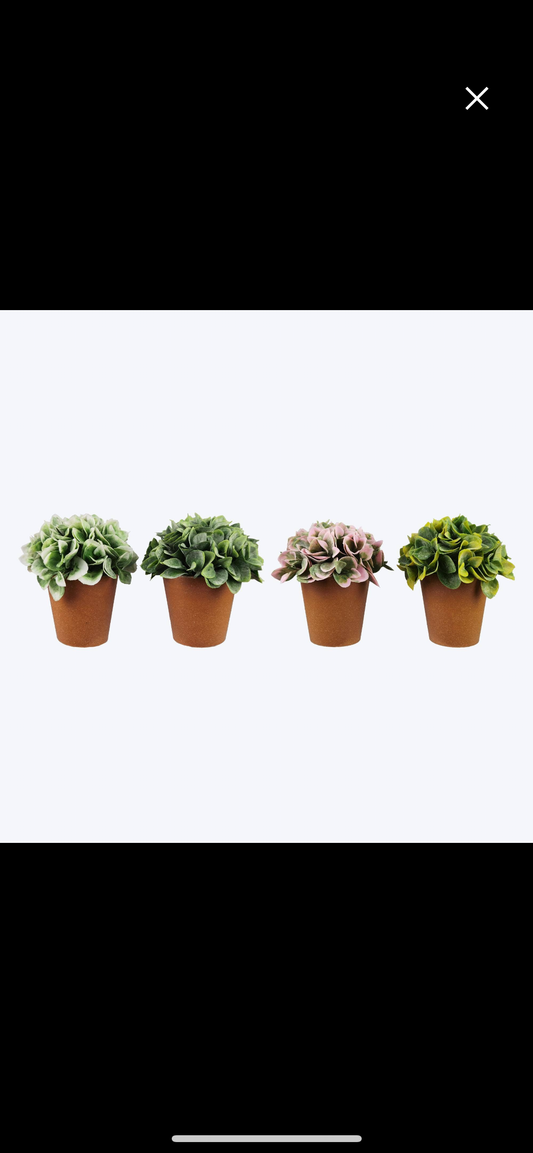Terra Cotta Artificial Plants Succulents