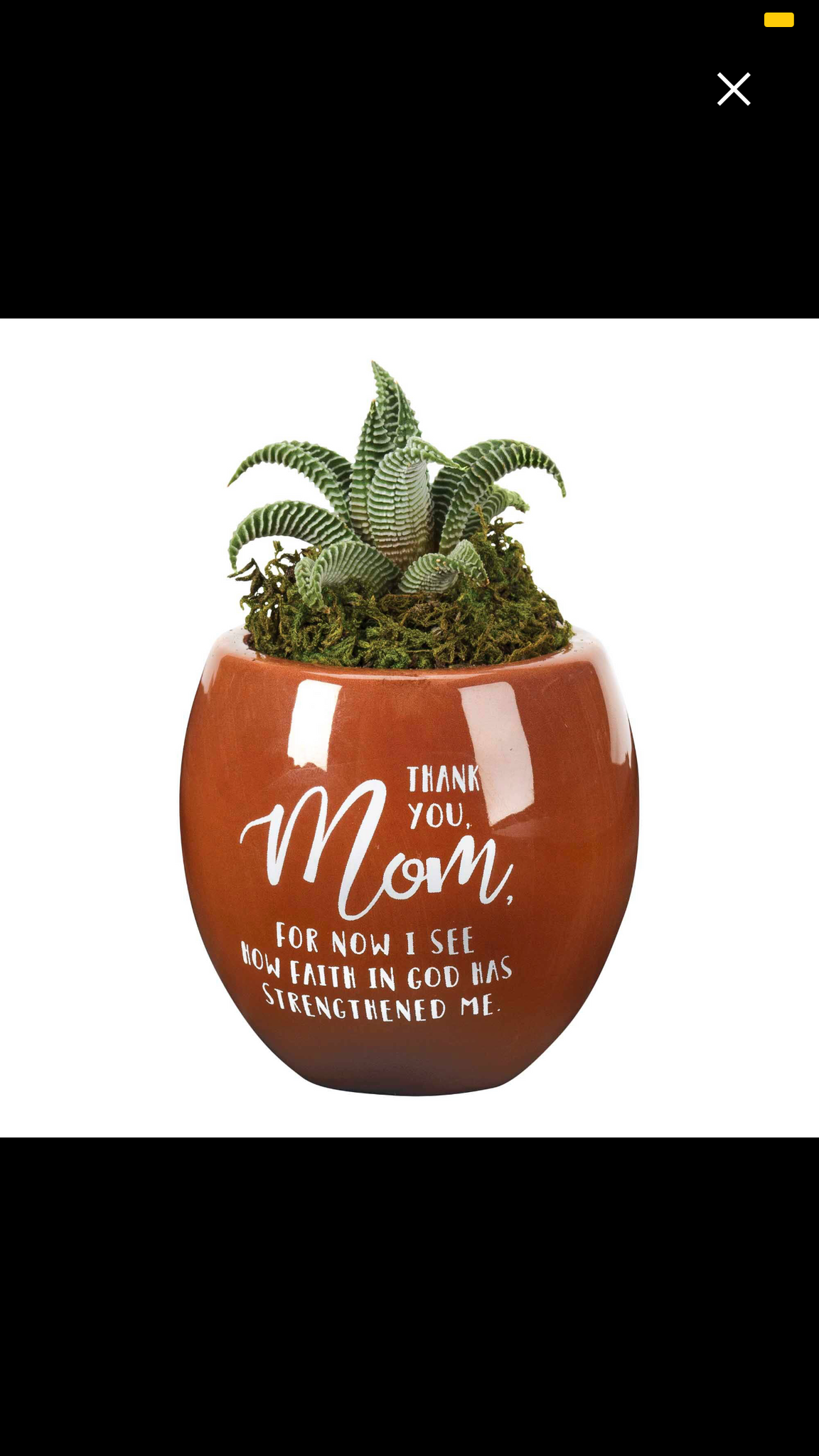 Mom Terra Cotta Flower Pot