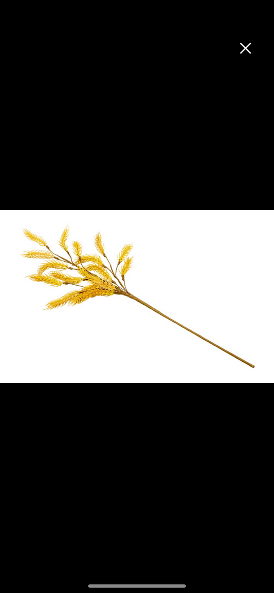 Wheat Pick 24”