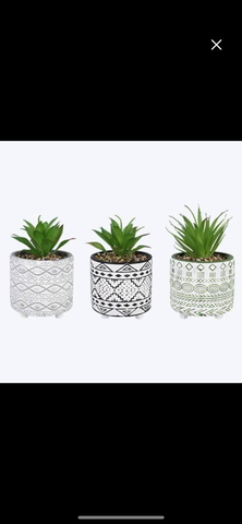 Succulent Cement Pot (3 assorted)