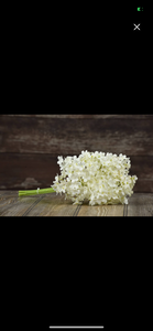 White Lilac Pick 13”