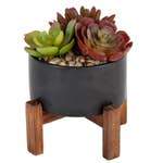 Faux Succulent Mix in Black Planter on Wooden Stand