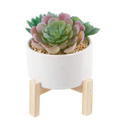 Faux Succulent Mix in White Planter on Wooden Stand